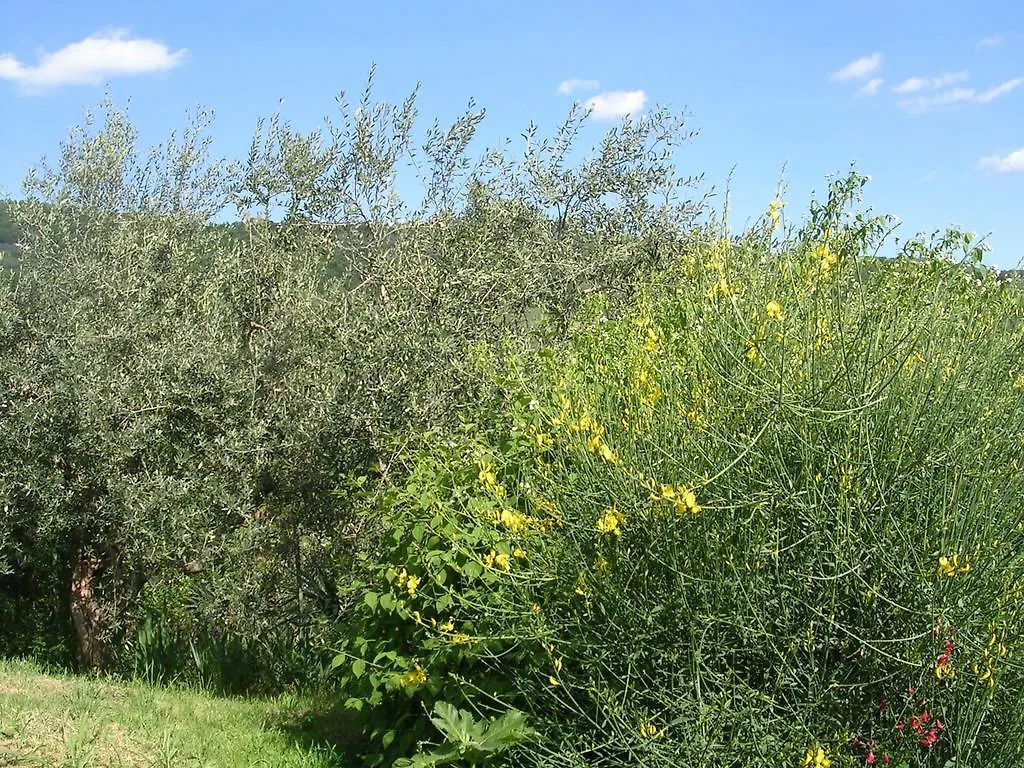 Guardalaluna Villa Pian Di Sco Holiday home